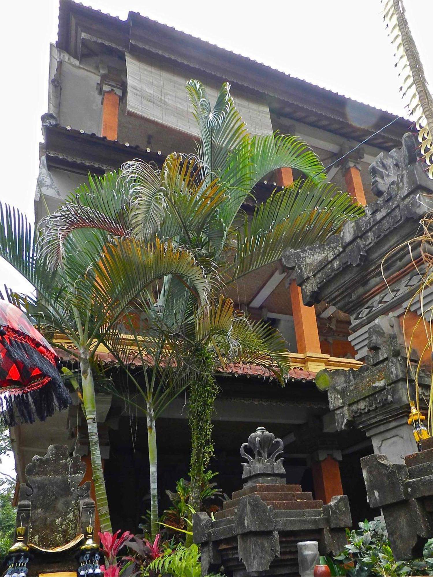 Kori Bali Inn I Ubud  Exterior photo